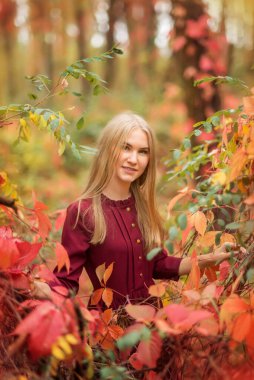 Sonbahar ormanındaki bir kızın portresi. Kırmızı ve turuncu yapraklar her yerde...