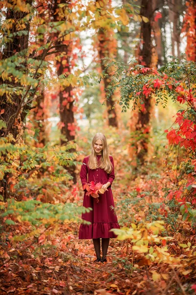 Menina Vestido Vermelho Caminha Floresta Outono Bela Floresta Conto Fadas — Fotografia de Stock