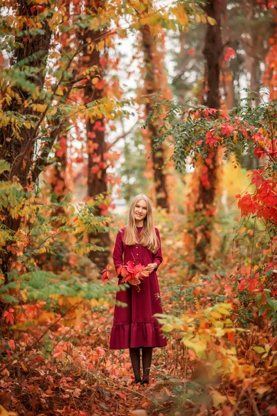Girl Red Dress Autumn Forest Beautiful Fairy Tale Forest Bouquet — Stock Photo, Image