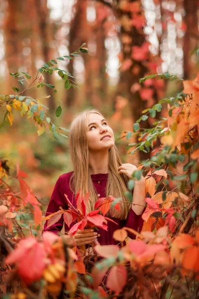 一个穿着勃艮第衣服的女孩在秋天的森林里的画像 红色和橙色的叶子到处都是 — 图库照片