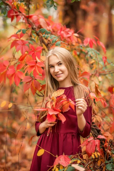 Portret Dziewczyny Bordowej Sukience Jesiennym Lesie Czerwone Pomarańczowe Liście Dookoła — Zdjęcie stockowe