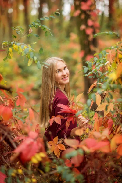Porträt Eines Mädchens Herbstlichen Wald Rote Und Orangefarbene Blätter Ringsum — Stockfoto