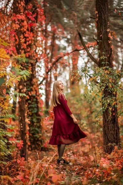 Menina Vestido Vermelho Floresta Outono Uma Bela Floresta Contos Fadas — Fotografia de Stock