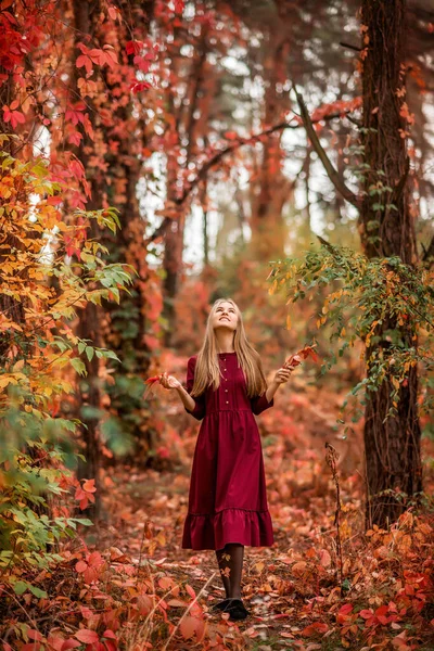 Menina Vestido Borgonha Caminha Floresta Outono Uma Floresta Fabulosa Com — Fotografia de Stock