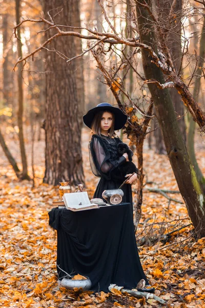 Bruja Bosque Otoño Una Mujer Con Gato Negro Prepara Para — Foto de Stock