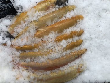 Balık pazarında ve mağazada buzda çiğ balık