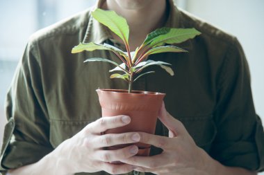 bitki potu almak adam