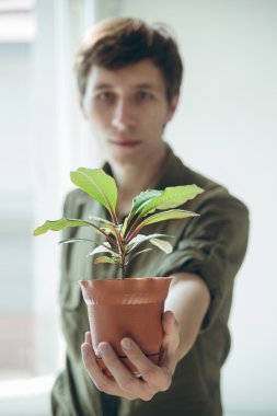 bitki potu almak adam