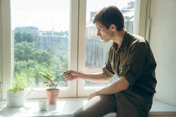 Uomo si preoccupa pianta nel vaso — Foto Stock