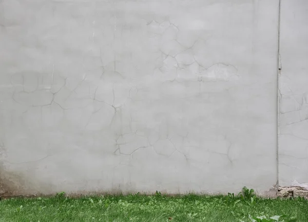 Parede cinza com grama verde — Fotografia de Stock