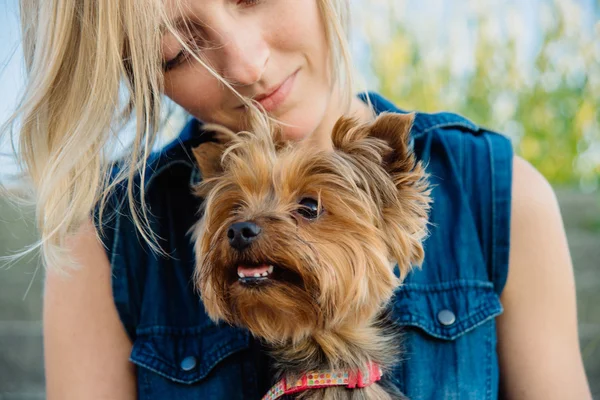 Pretty yorkshire terrier on the girl's knees — Stock Photo, Image