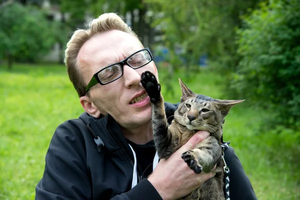 Gato mordido su maestro —  Fotos de Stock