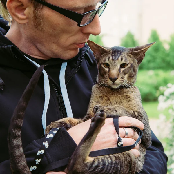 Portrait de chat en plein air — Photo