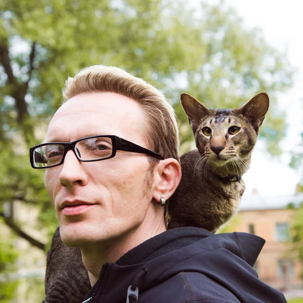 Close up cat portrait outdoor — Stock Photo, Image