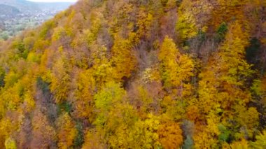 Küçük bir köye tepeden bakan renkli yaprak döken bir ormanın üzerinde uçuyor..