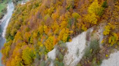 Küçük bir köye tepeden bakan renkli yaprak döken bir ormanın üzerinde uçuyor..