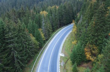 Yol dağlardaki sık bir ormandan geçiyor..