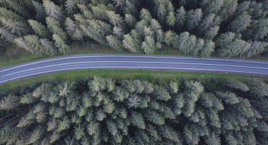 Yeşil ladin ormanından geçen yol, hava manzaralı.