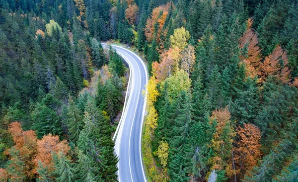 Dağlarda boş bir yol Yoğun bir orman boyunca, üst manzara.