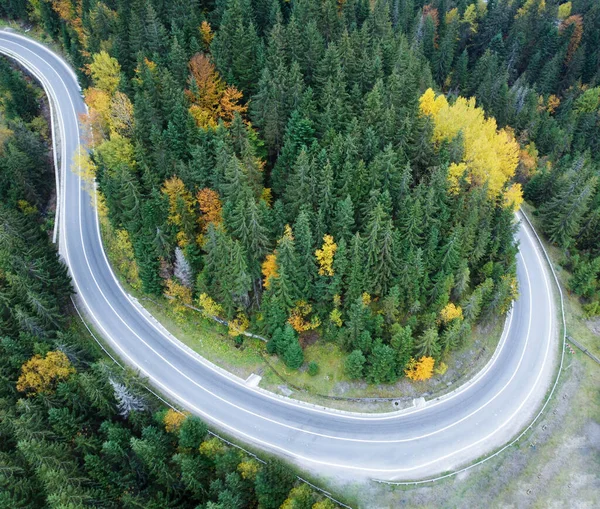 Strada Asfaltata Attraverso Una Fitta Foresta Nelle Montagne Dei Carpazi — Foto Stock