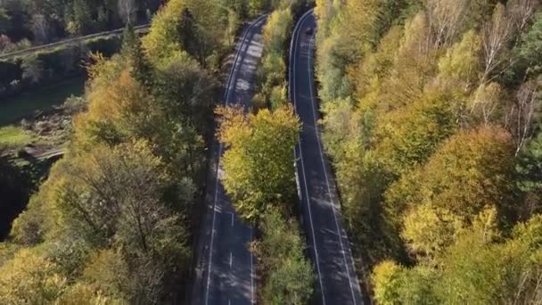 Volo su una strada di montagna attraverso una foresta con alberi gialli. Auto in movimento sulla strada. Vista dall'alto. — Video Stock