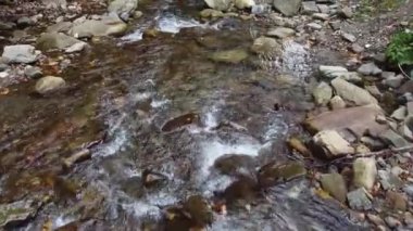 Karpat dağlarının yamaçlarından akan suyun aktığı taşlı dağ nehri.