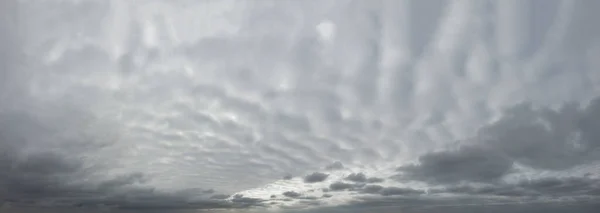 Panorama Des Grauen Dramatischen Himmels Mit Welligen Dicken Wolken — Stockfoto