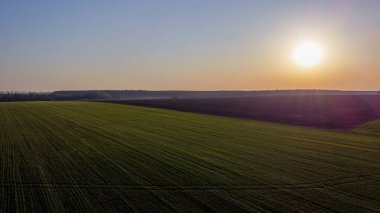 Buğday ekinleri üzerine gün batımı ve farklı bitkilerin ekinlerine ekili tarlalar.