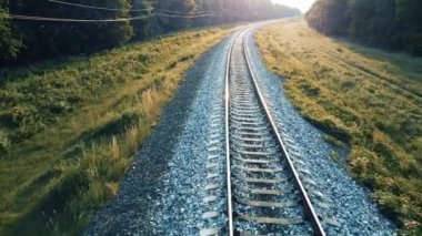 Güzel günbatımında çam ormanından geçen uzun demiryolu.