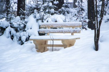 Parkta karla kaplı bir bank. Kış sabahı ahşap tezgah..