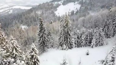 Dağ manzarasının tepesi ve dağların yamaçlarındaki orman uçurumdan açılıyor..