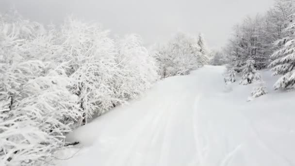 Śnieżnopokryta górska ścieżka i śnieżnobiałe drzewa pokryte są mrozem. Krajobraz rozwijający się na zboczu górskiego piękna. — Wideo stockowe