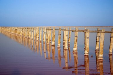 Pembe göldeki tahta sütunlar. Ufuk çizgisine bak. Pembe göl suyu ve açık mavi gökyüzü