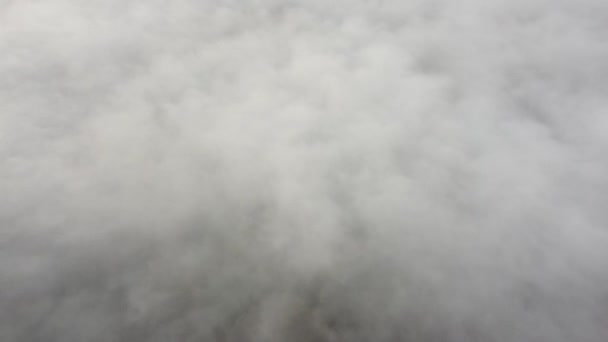 Titta ner genom dimman svävar över marken. — Stockvideo