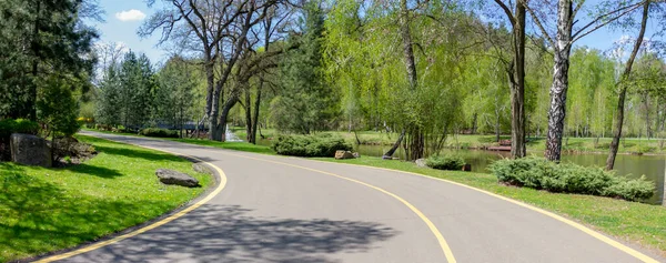 Дорога Через Парк Асфальтований Шлях Пішоходів Велосипедистів Через Красиву Зелень — стокове фото