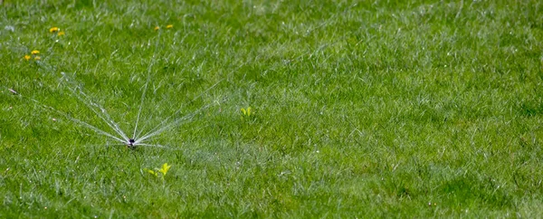 Nozzle Dat Slecht Water Het Gazon Gras Gebroken Mondstuk Tuin — Stockfoto