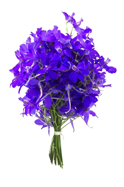 白い背景に紫色の花の花束 — ストック写真
