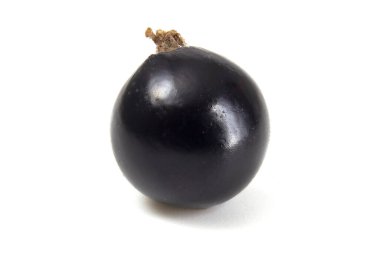 Siyah frenk üzümü beyaz arkaplanı kapatır