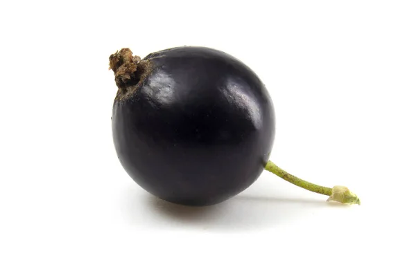 Zwarte bes close-up op een witte achtergrond. Geïsoleerde bes voor snelle selectie. Heerlijk fruit volle aandacht. — Stockfoto