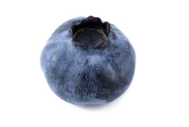 Beyaz Arkaplanda Tek Yaban mersini İzole Edildi.