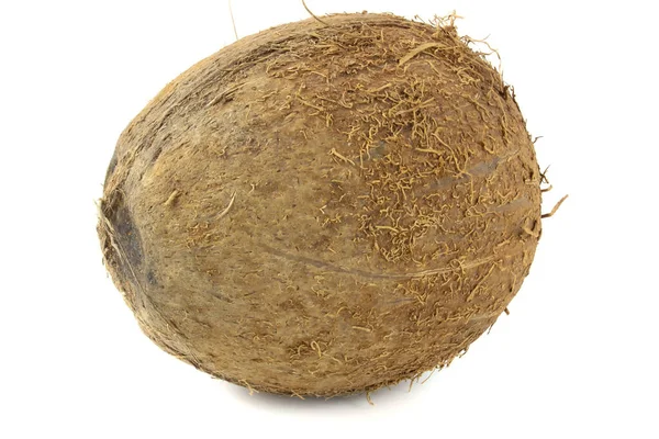 Coconut Isolerad Vit Bakgrund Närbild — Stockfoto