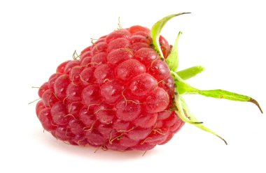 Beyaz arka planda izole edilmiş olgun ahududu. Böğürtlen yakın çekim