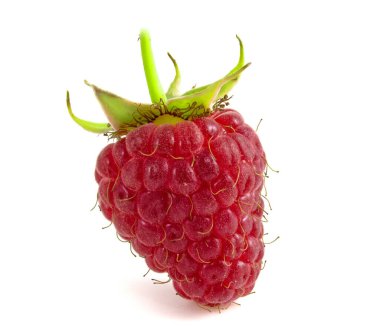 Beyaz arka planda izole edilmiş ahududu. Pedamcanla yakın çekim yap.