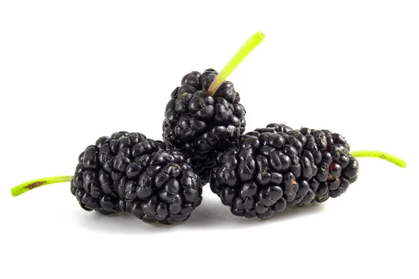 Czarne Owoce Morwy Izolowane Białym Tle Jagody Bliska — Zdjęcie stockowe