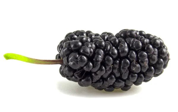 Schwarze Maulbeere Beere Isoliert Auf Weißem Hintergrund Nahaufnahme — Stockfoto