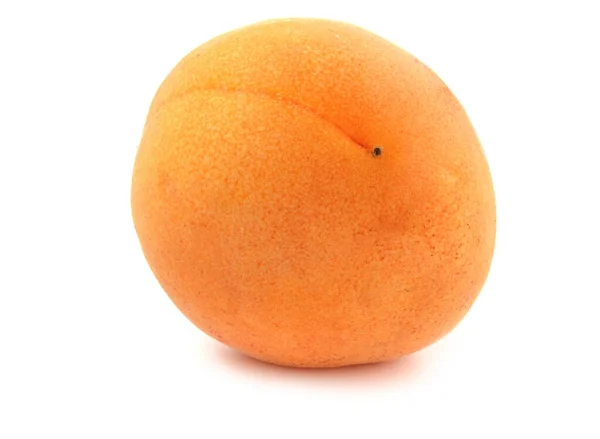 Mogen Aprikos Isolerad Vit Bakgrund Frukt Nära Håll — Stockfoto