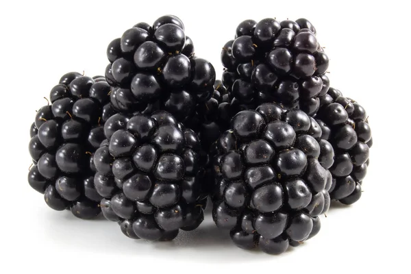 Blackberries Fermer Isolé Sur Fond Blanc — Photo