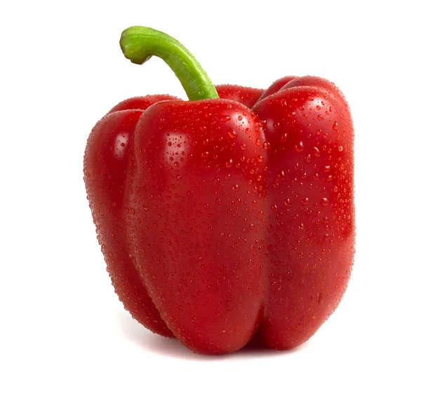 Röd Bell Pepper Dagg Droppar Isolerad Vit Bakgrund — Stockfoto