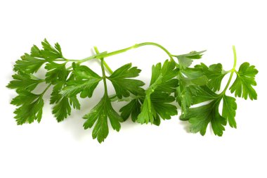 Parsley leaves on a white background. Ingredient seasoning for dishes