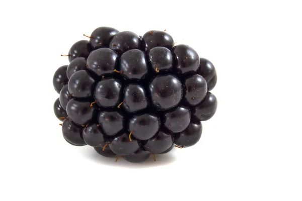 Blackberry Izolowane Białym Tle — Zdjęcie stockowe
